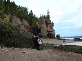 Dawn in front of the seaweed on the rocks