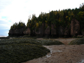 Different rock formations
