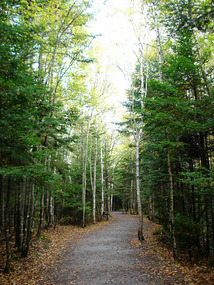 Trail to the Flower Pot Rocks