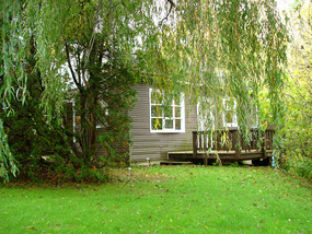 Our cottage hidden near little brook