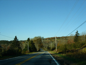 Bare Acadian forest no autumn colours