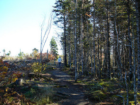 Track to Balancing Rock