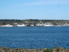 Westport Brier Island