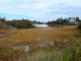 Salt marshlands and lakes at Stonehurst