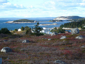 View over sea marshlands to Indian Harbour
