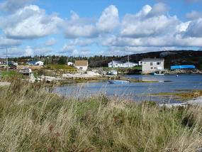 Moorings in Inlet at Terence Bay