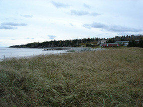 Cows Beach and salt marshes, homes in distance