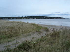 Cows Beach and salt marshes, homes in distance