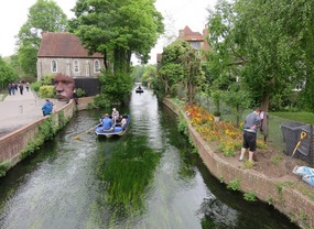 Boat tours on the canals