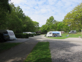Fairlight Wood Camping & Caravanning site