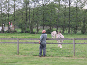 Coffee with the donkeys