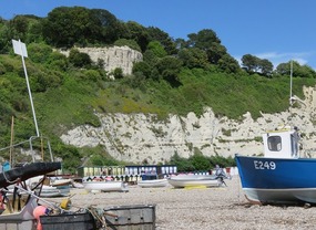 Beautiful white cliffs & beach huts 