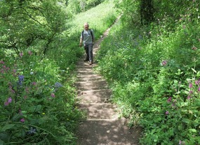 Steep trails 