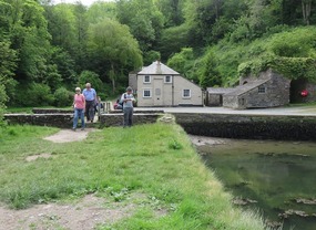 Tiny bridge near Richard at Pont Pill 