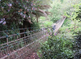 Burma Rope Bridge