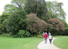 Flora's Garden