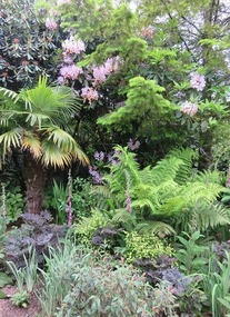 New Zealand garden