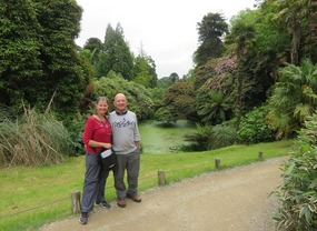 Tropical jungle section
