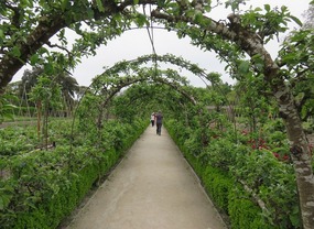Victorian vegetable garden