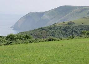 Field overlooking cliffs 800ft rising from sea 