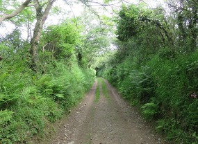 Trail to Lynmouth