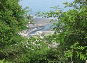 View of Lynmouth and harbour
