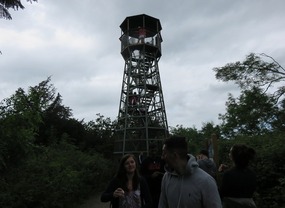 Climbed the Lookout Tower for panoramic view