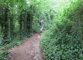 Start of Cheddar Gorge trail