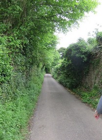Steep lane to Cheddar Gorge Trail