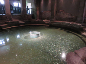 Plunge Pool