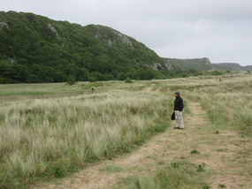 Trail through the sea marshlands