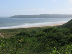 View of Oxwich Bay over woods