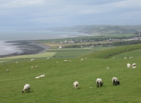 Coastline views