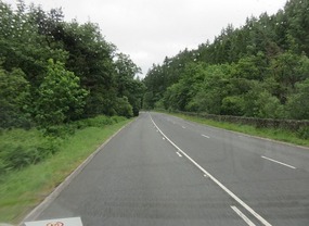 Snowdonia Forest