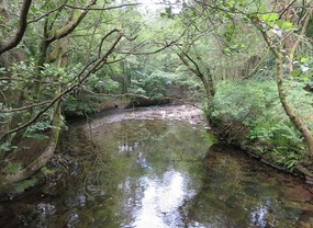 Cross stream to castle