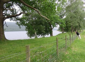 Richard in paddock by Coniston Lake