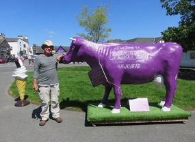 Richard with the Cocoa Bean cow