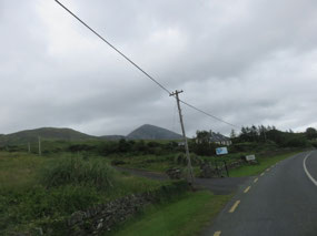 Farmland with Croagh Patrick in background