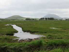 Near Louisburgh peat bog marshlands