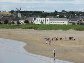 View of beach, town and windmill in background
