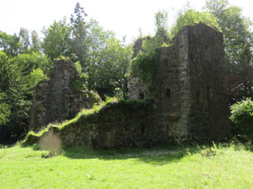 Runis of Finlarig Castle