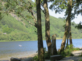 Watched a family of swans at Loch Lubnaig