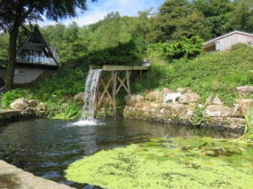 High Falls & pond miners used 
