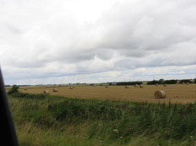 Flat landscape (Fens) of grain fields for miles