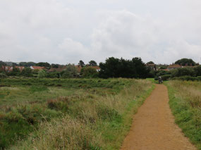Pathway to Blakeney by the sea marshes