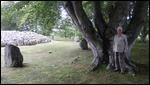 A Great Tree and Linda