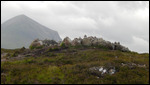Lots of Little Cairns along the Path