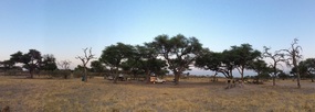 Khwai campsite 13