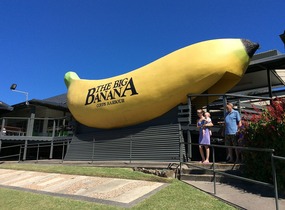 The Big Banana!