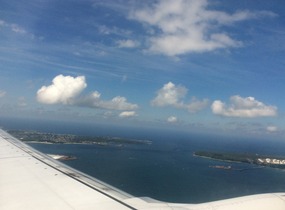First glimpse of NZ